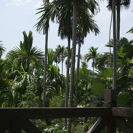 Lila Homestay Hội An Ngoại thất bức ảnh