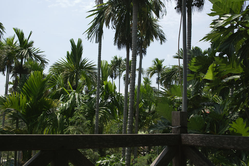 Lila Homestay Hội An Ngoại thất bức ảnh