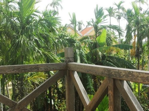Lila Homestay Hội An Ngoại thất bức ảnh